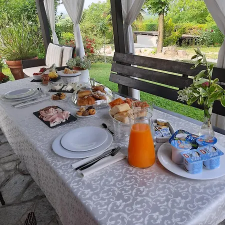 Aurelj Guest house *